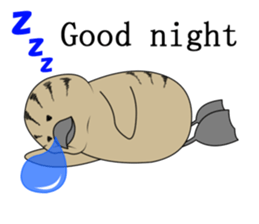 here the black tailed gull again!! sticker #7306717