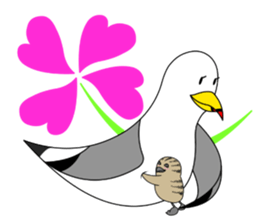 here the black tailed gull again!! sticker #7306725