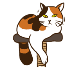 Mi-ke, the Calico Cat 2 sticker #7307656