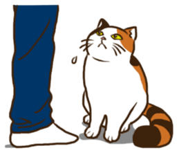Mi-ke, the Calico Cat 2 sticker #7307658