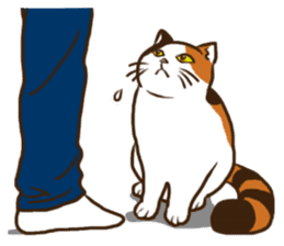 Mi-ke, the Calico Cat 2 sticker #7307658