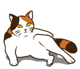 Mi-ke, the Calico Cat 2 sticker #7307664