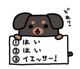 3 -choice dog sticker #7308770