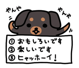 3 -choice dog sticker #7308771
