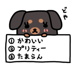 3 -choice dog sticker #7308772