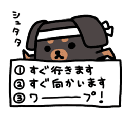 3 -choice dog sticker #7308774