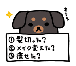 3 -choice dog sticker #7308779