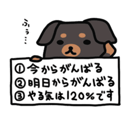 3 -choice dog sticker #7308791