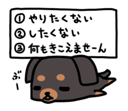 3 -choice dog sticker #7308792