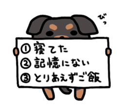 3 -choice dog sticker #7308795