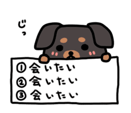 3 -choice dog sticker #7308800
