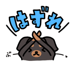 3 -choice dog sticker #7308803