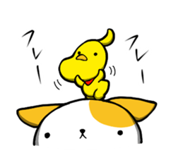 NekoPiyo! sticker #7311094