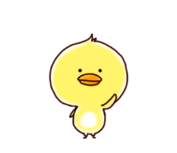 2 birds of cute chick Sticker sticker #7313664