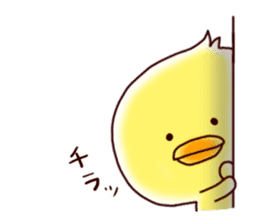 2 birds of cute chick Sticker sticker #7313674