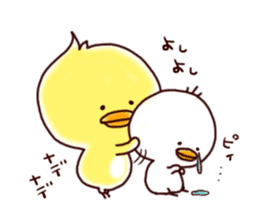 2 birds of cute chick Sticker sticker #7313682