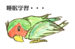 Chattering parakeet sticker #7314668