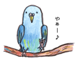 Chattering parakeet sticker #7314670