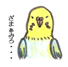 Chattering parakeet sticker #7314672