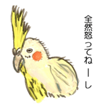 Chattering parakeet sticker #7314674