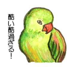 Chattering parakeet sticker #7314675