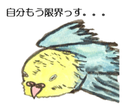 Chattering parakeet sticker #7314679
