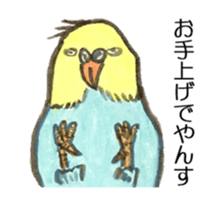 Chattering parakeet sticker #7314681