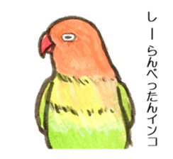 Chattering parakeet sticker #7314683