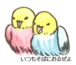 Chattering parakeet sticker #7314684