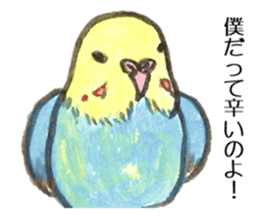 Chattering parakeet sticker #7314685