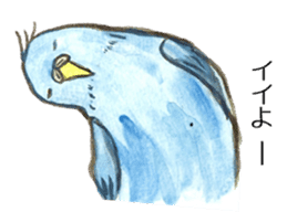 Chattering parakeet sticker #7314688