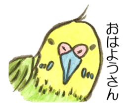 Chattering parakeet sticker #7314689