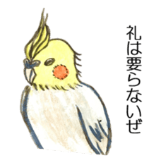 Chattering parakeet sticker #7314692