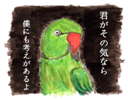 Chattering parakeet sticker #7314694