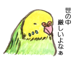 Chattering parakeet sticker #7314695