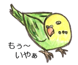 Chattering parakeet sticker #7314697