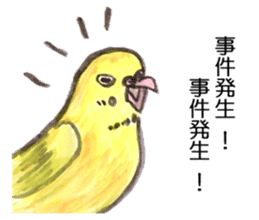 Chattering parakeet sticker #7314698