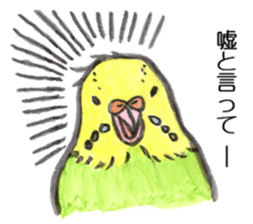 Chattering parakeet sticker #7314700