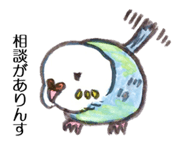 Chattering parakeet sticker #7314701