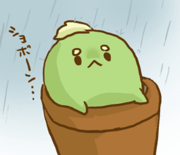 Lophophora sticker #7318137