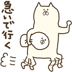 White that fellow and cat and dog