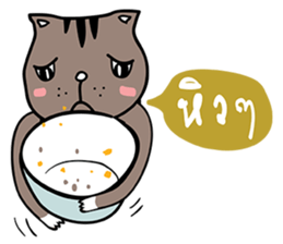 Grey-Ray the cat sticker #7323793