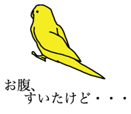 Pacific Parrotlet & Rosy-faced lovebird sticker #7324847