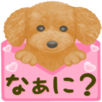 Toy Poodle & Toy Poodle sticker #7325268