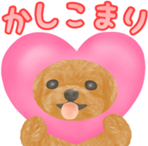 Toy Poodle & Toy Poodle sticker #7325269