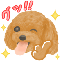Toy Poodle & Toy Poodle sticker #7325271