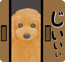 Toy Poodle & Toy Poodle sticker #7325273