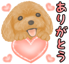 Toy Poodle & Toy Poodle sticker #7325274
