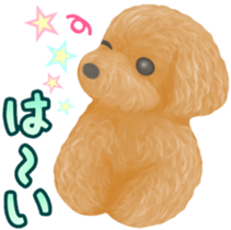 Toy Poodle & Toy Poodle sticker #7325275