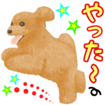 Toy Poodle & Toy Poodle sticker #7325276